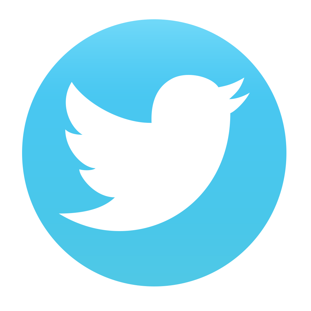 Icon Twitter